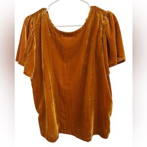 Loft Crushed Velvet Women's Top Gold/Amber Color Size Medium Short Sleeve